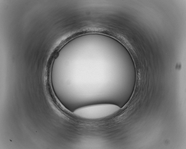 X0000091170726200708091023