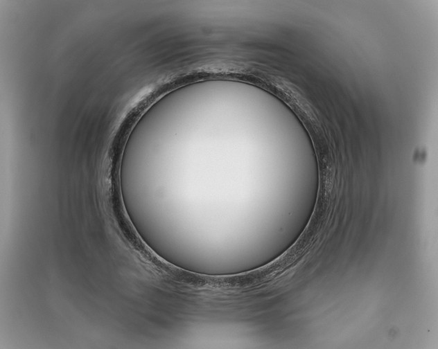 X0000091170727200708091023