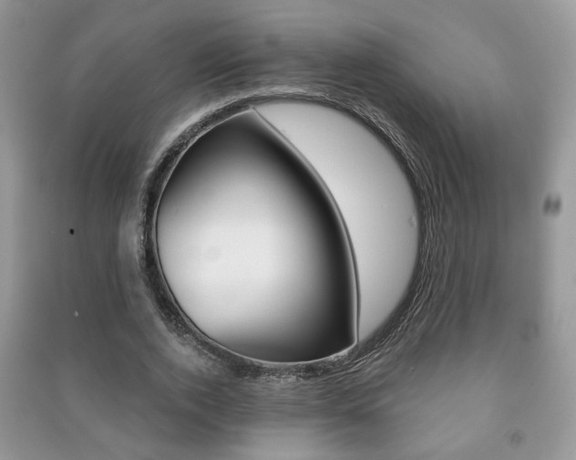 X0000091170728200708091023