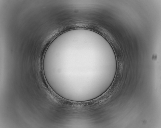 X0000091170729200708091023