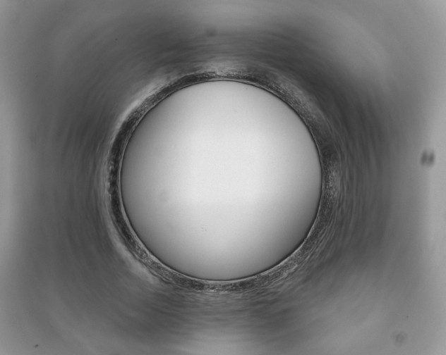 X0000091170730200708091023