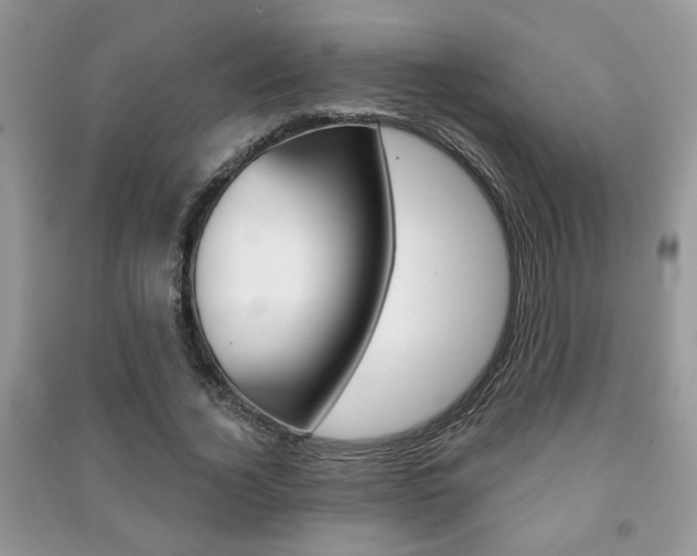 X0000091170732200708091023