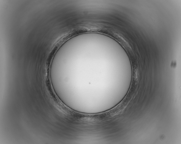 X0000091170733200708091023