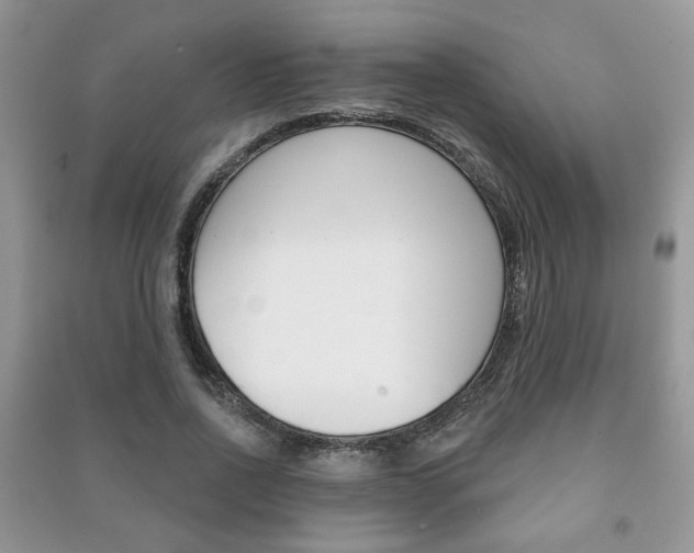 X0000091170734200708091023
