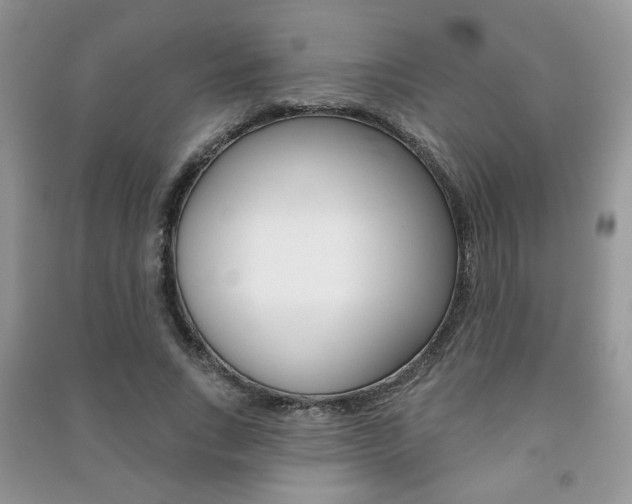 X0000091170735200708091023