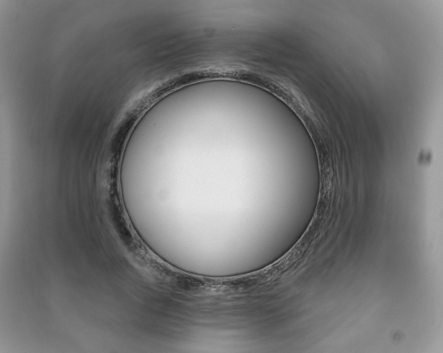 X0000091170736200708091023