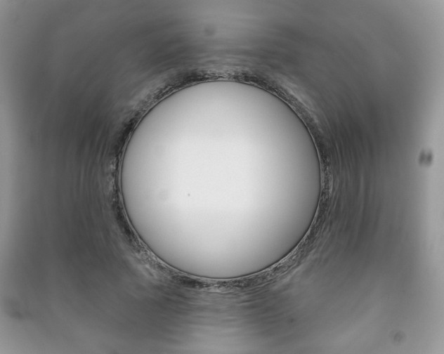 X0000091170737200708091023