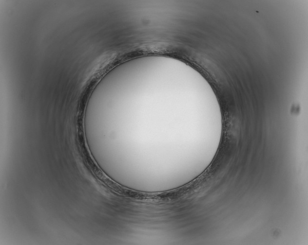 X0000091170738200708091023