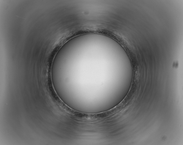 X0000091170739200708091023