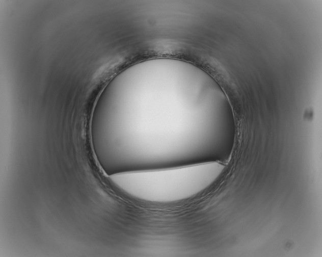 X0000091170740200708091023