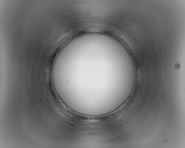 X0000091170741200708091023