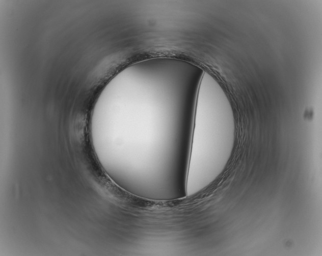 X0000091170742200708091023