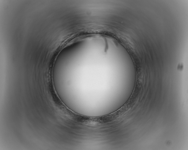 X0000091170743200708091023
