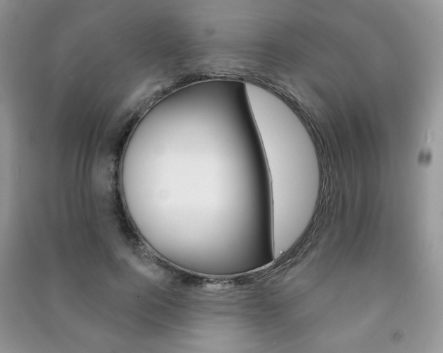 X0000091170744200708091023