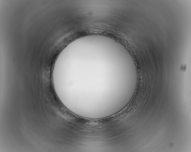 X0000091170745200708091023
