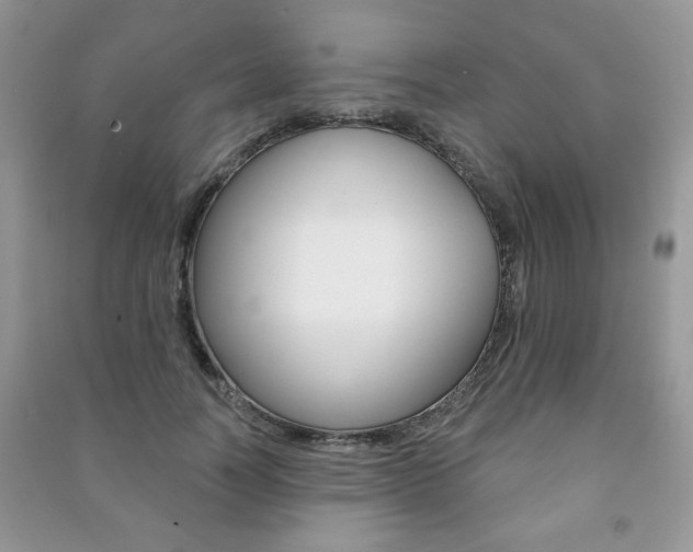 X0000091170746200708091023
