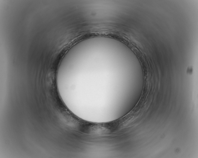 X0000091170747200708091023