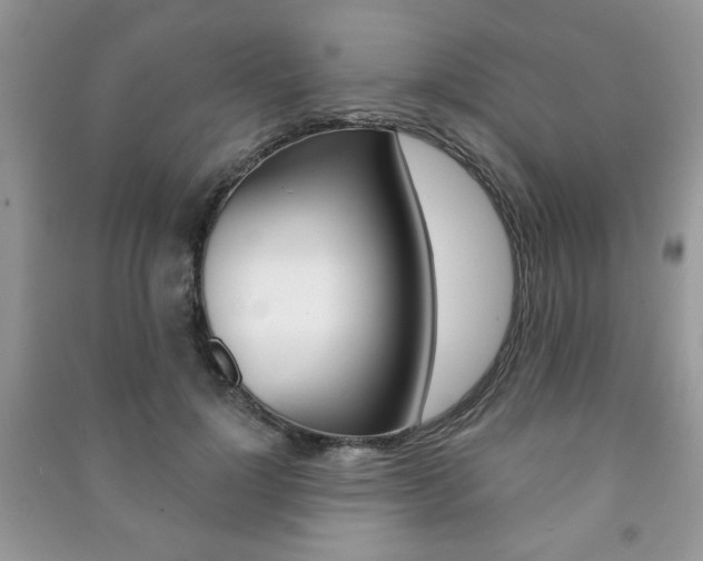 X0000091170748200708091023