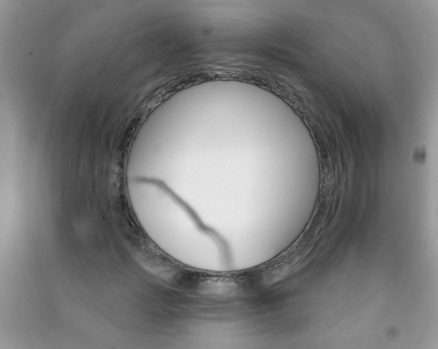 X0000091170749200708091023