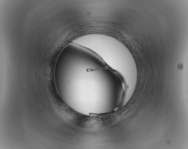 X0000091170750200708091024