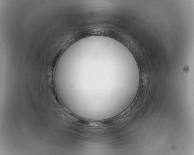 X0000091170753200708091024