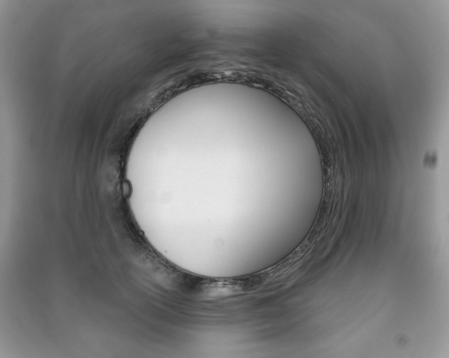 X0000091170754200708091024