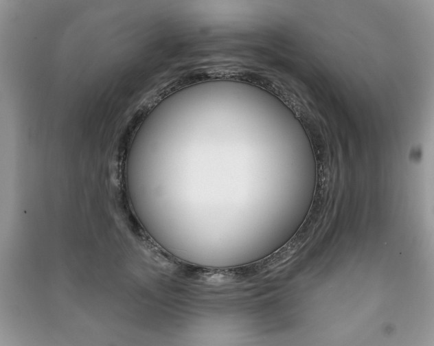 X0000091170755200708091024
