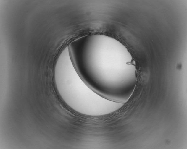 X0000091170756200708091024
