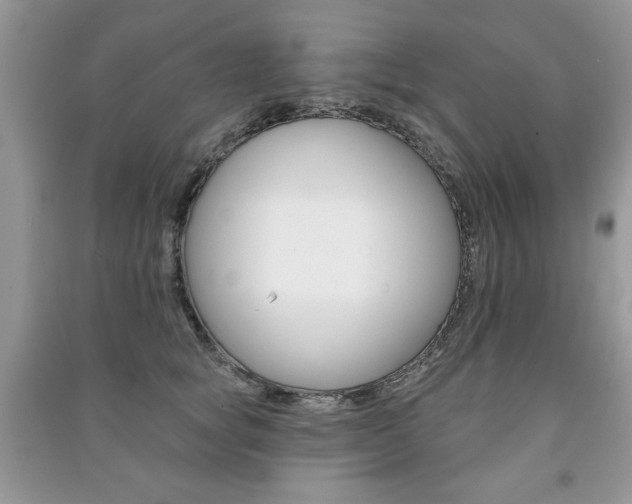 X0000091170757200708091024