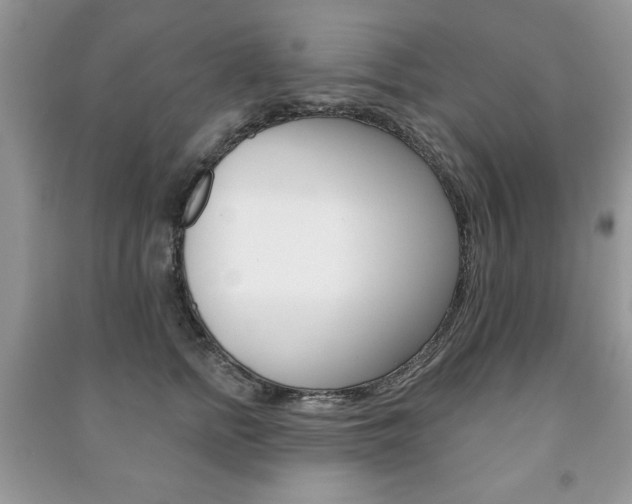 X0000091170758200708091024