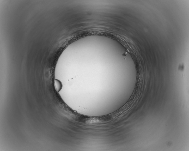 X0000091170759200708091024