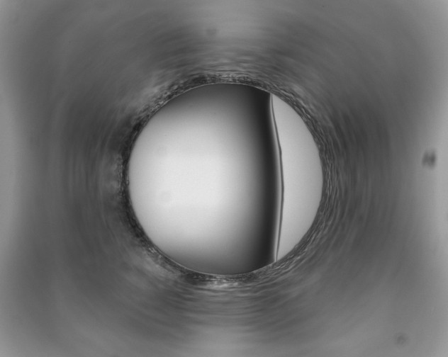 X0000091170760200708091024