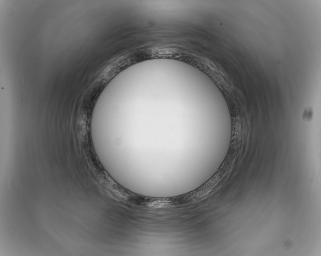 X0000091170761200708091024