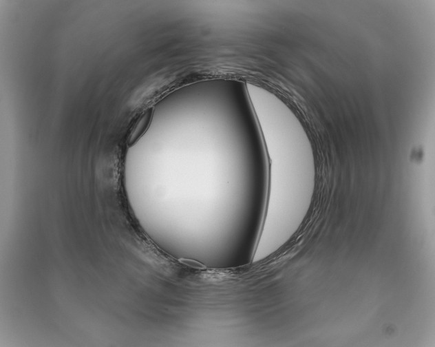 X0000091170762200708091024