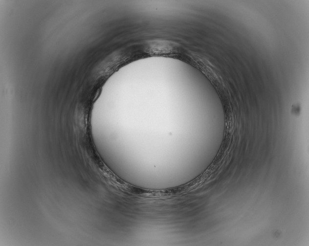 X0000091170763200708091024