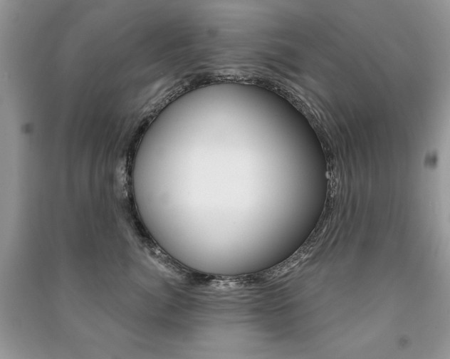 X0000091170764200708091024