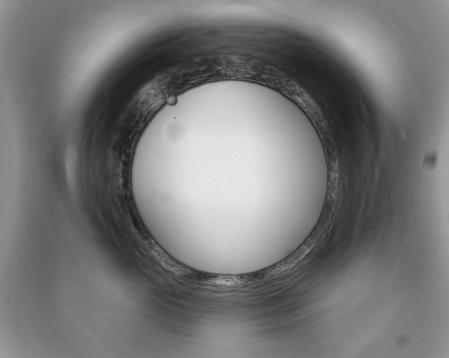 X0000091170765200708091024