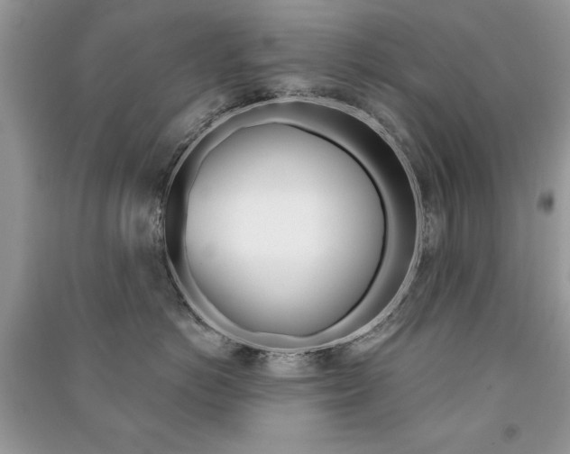 X0000091170766200708091024