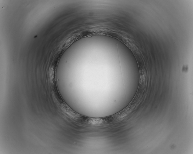 X0000091170767200708091024