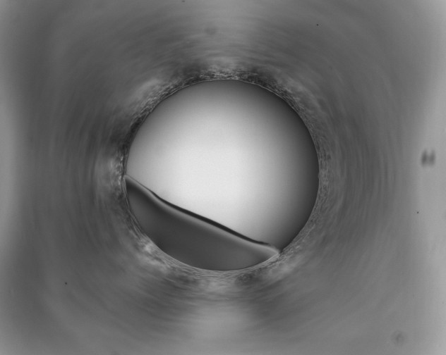 X0000091170768200708091024