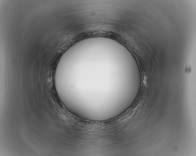 X0000091170771200708091023