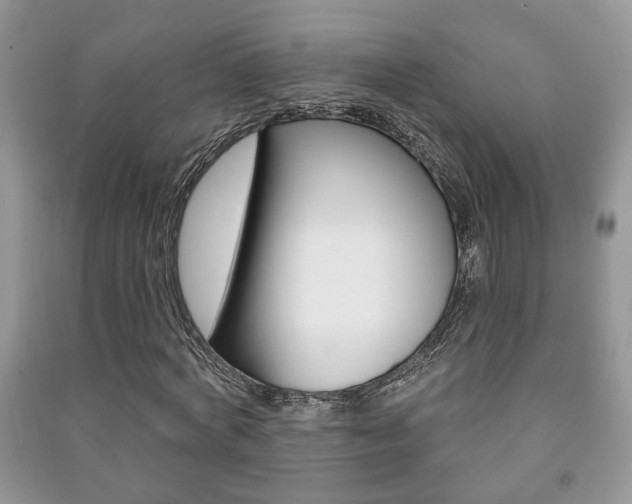 X0000091170772200708091023