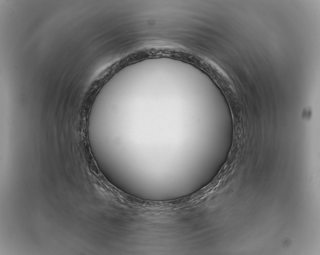 X0000091170775200708091023