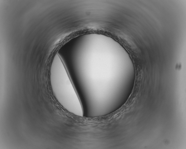 X0000091170776200708091023