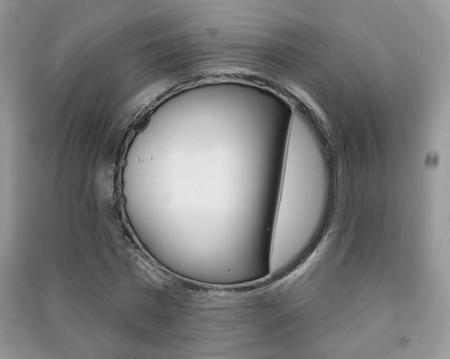 X0000091170777200708091023