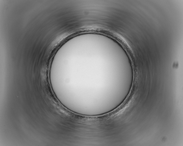 X0000091170778200708091023
