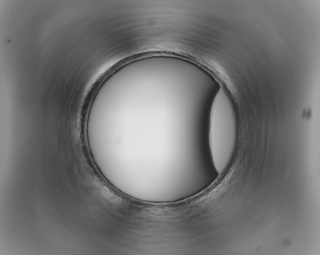 X0000091170780200708091023