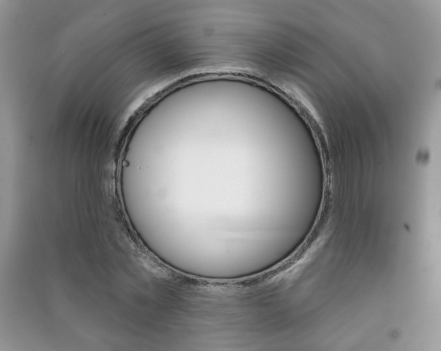 X0000091170781200708091023