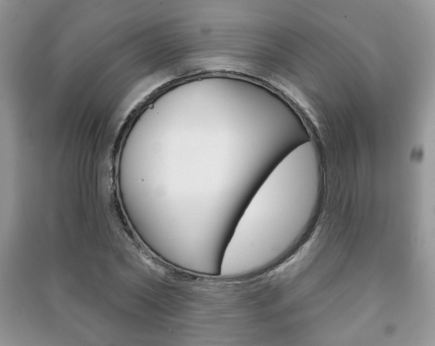 X0000091170782200708091023