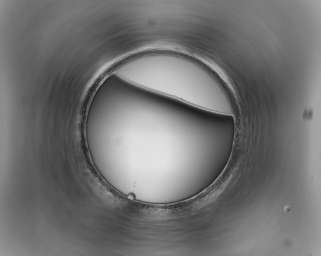 X0000091170783200708091023